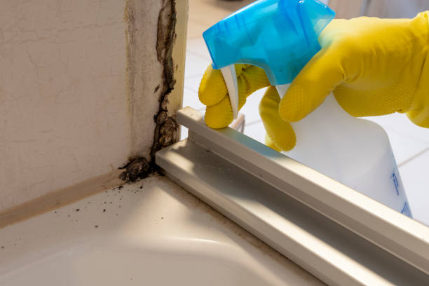 Best Mold Prevention Services  in Mckinley, PA