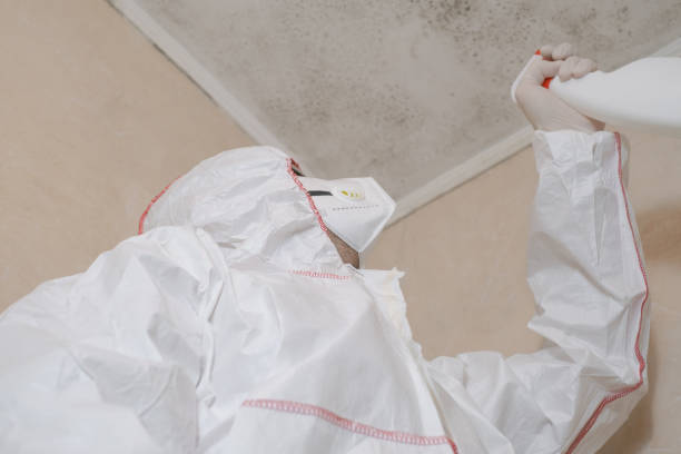 Best Environmental Consulting for Mold Prevention  in Mckinley, PA