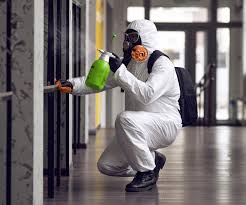 Best Commercial Mold Inspection  in Mckinley, PA